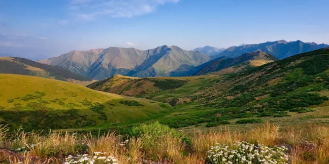 Acheter un terrain en zone naturelle